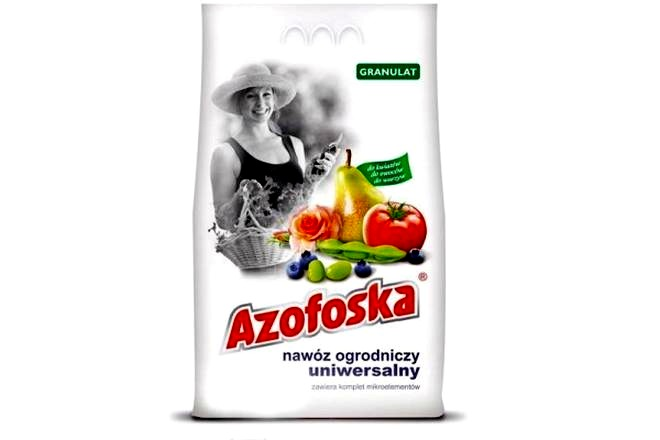 Ile azofoski stosować na trawnik? Bezpieczne dawkowanie na m²