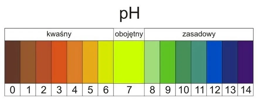 Jak zbadać pH trawnika? Prosty test i właściwy odczyn gleby
