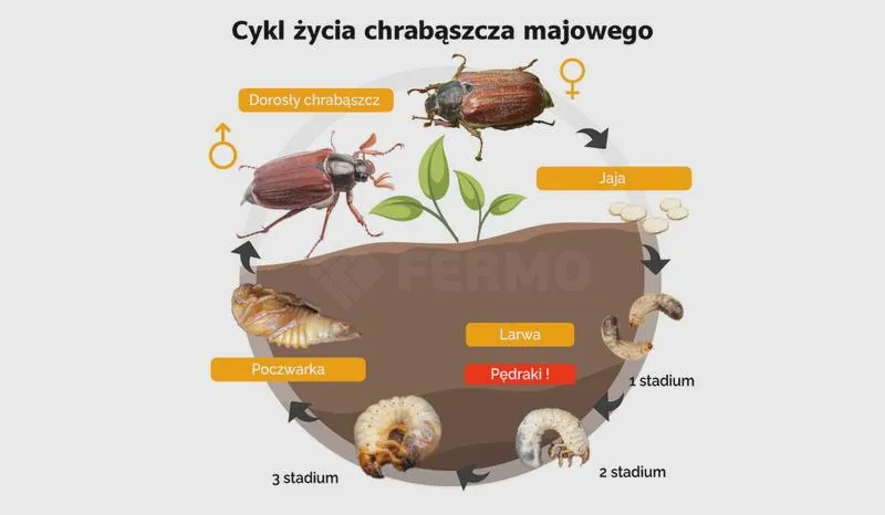 Chemiczne środki ochrony roślin