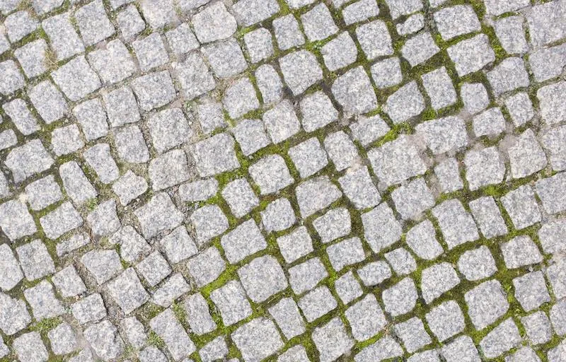 Czyścić kostkę brukową