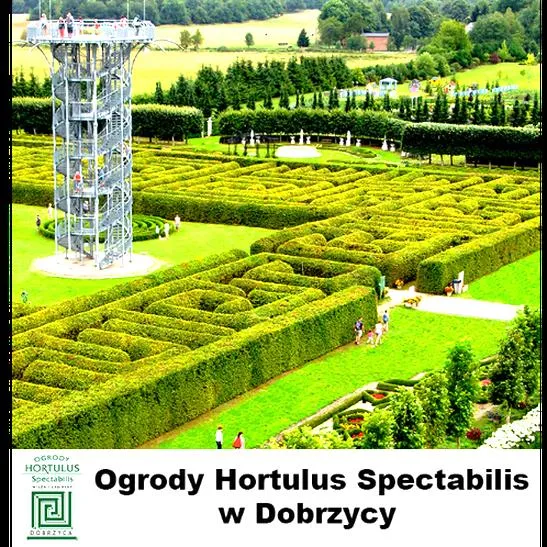Ekspozycja roślin w ogrodzie