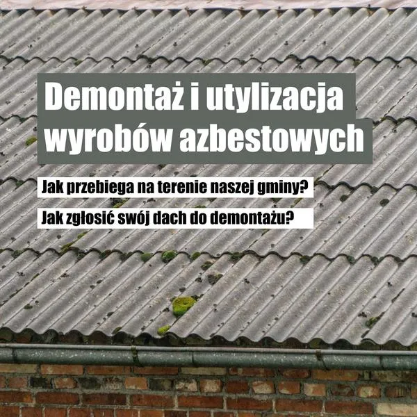 Obowiązki właścicieli nieruchomości