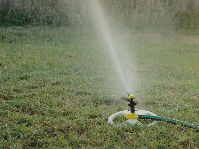 Optymalne godziny podlewania