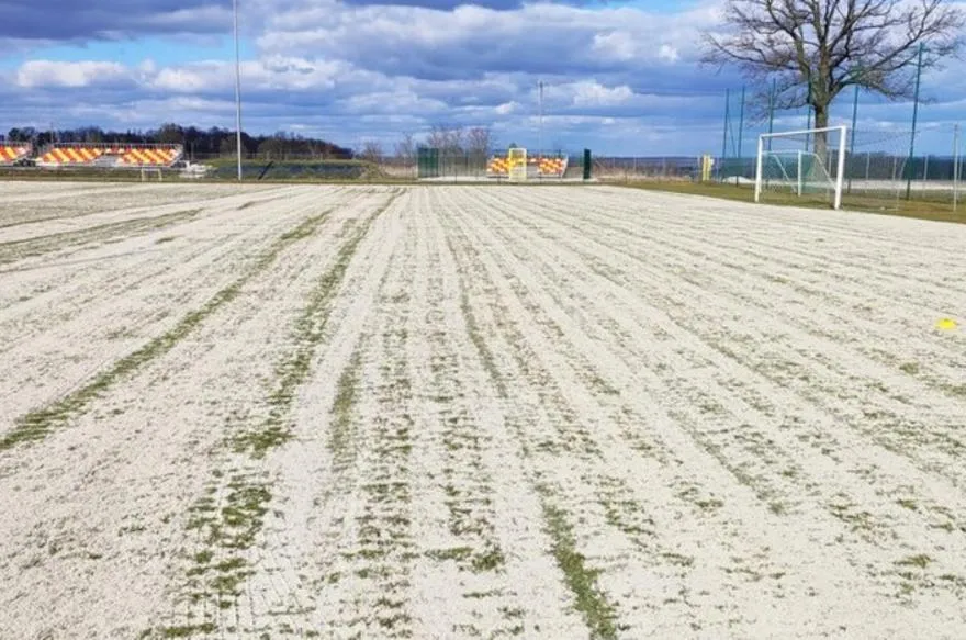 Piaskowanie trawnika