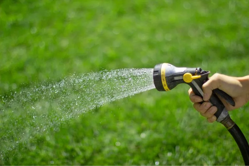Podlewanie trawnika