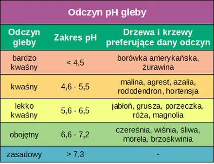 Pomiar pH gleby