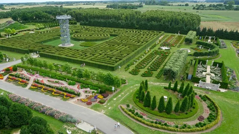 Pomysły na rośliny w ogrodzie