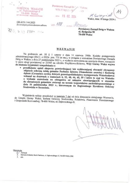Procedura zgłoszenia wycinki