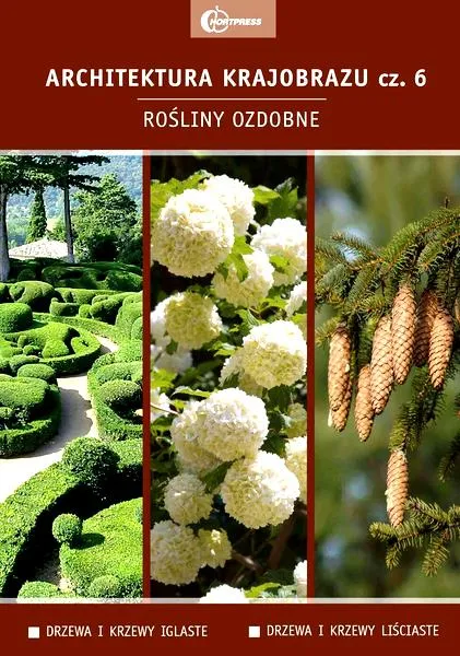 Rośliny na parapet