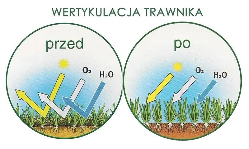 Skaryfikacja trawnika