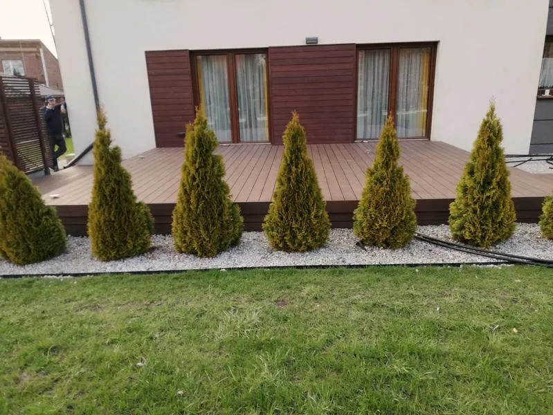 Tuje na tarasie