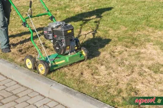 Wałowanie trawnika po zimie