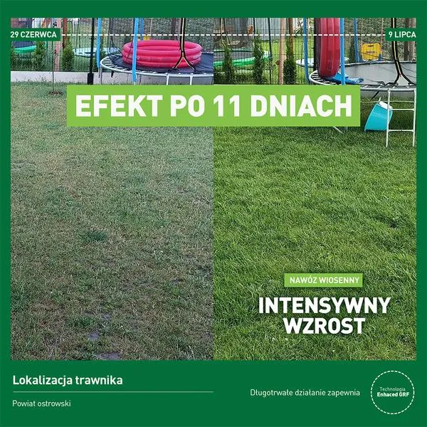 Zdrowa darń